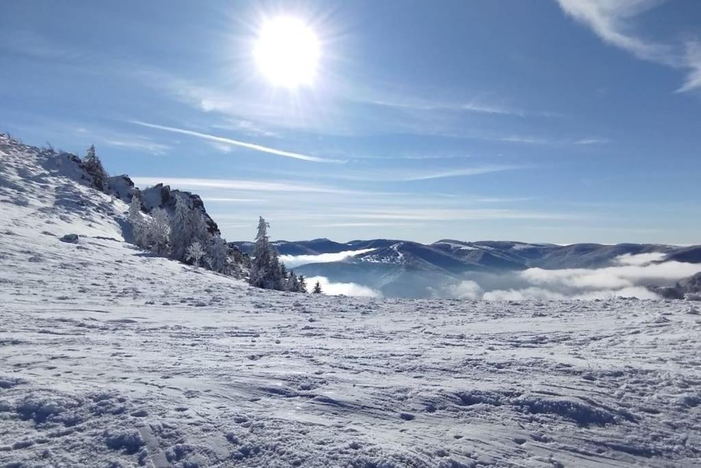 Aux Balcons De La Vallee Soultzeren ภายนอก รูปภาพ