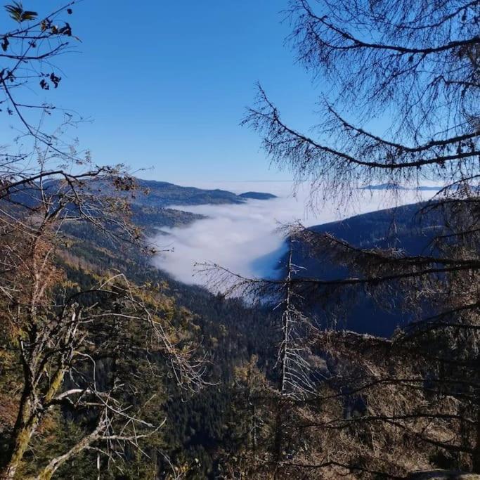 Aux Balcons De La Vallee Soultzeren ภายนอก รูปภาพ