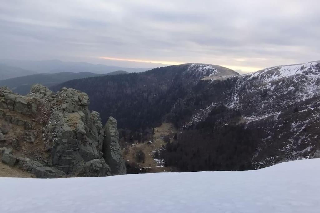 Aux Balcons De La Vallee Soultzeren ภายนอก รูปภาพ
